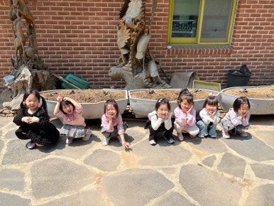 노블키즈유치원 이미지