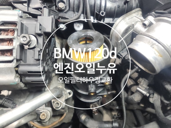 모토리카 이미지