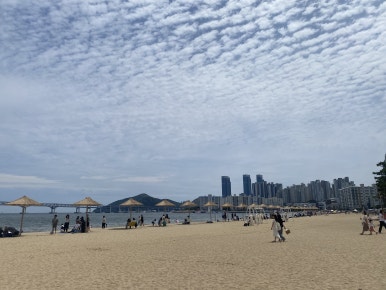 만우장 이미지