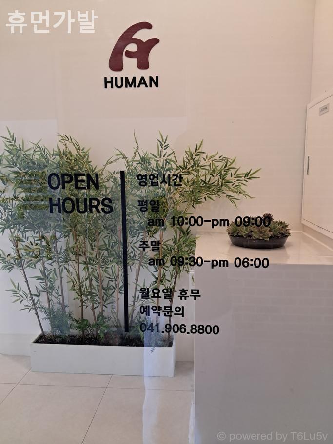 휴먼가발 이미지
