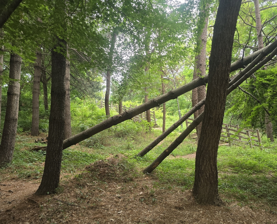 두암공원 이미지