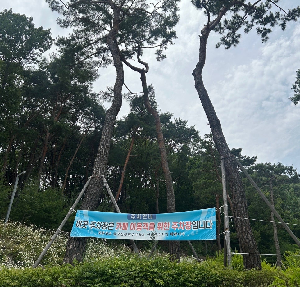 카페클라우든 이미지