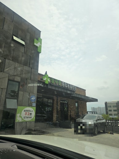 늘푸른동물종합병원