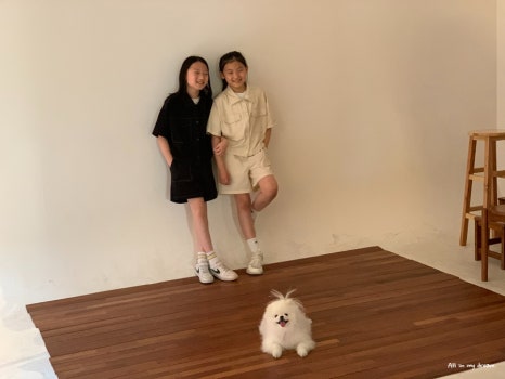 호록 이미지