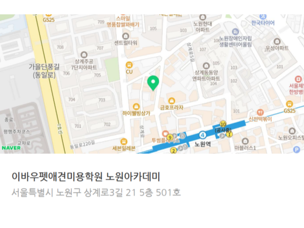 노원 애견미용학원, 대학 대신 선택한 이유와 과정 — 사진 4