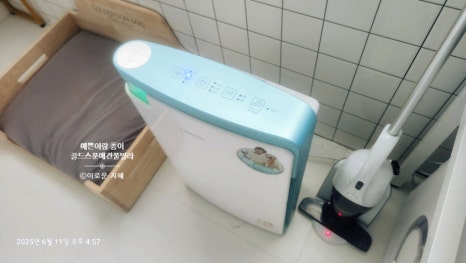 골드스푼애견풀빌라 이미지