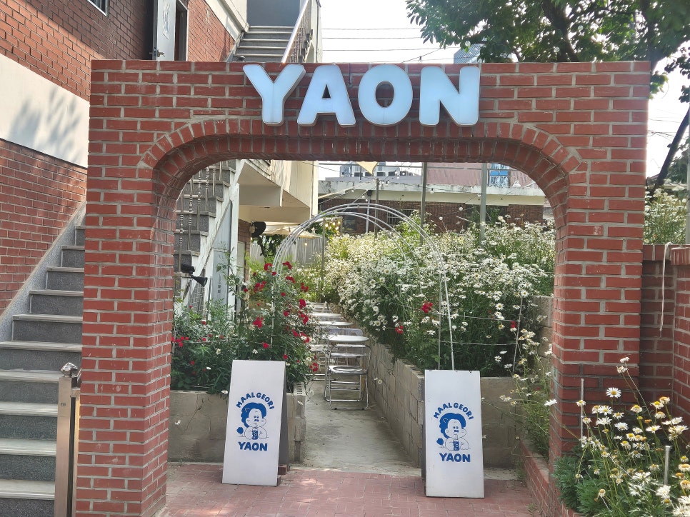 야온 이미지