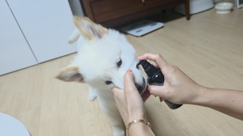 쓱싹 이미지