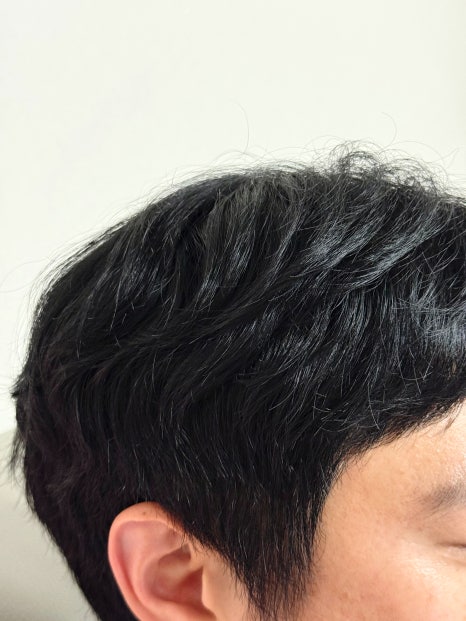 세르모 이미지