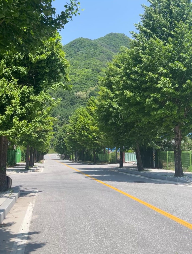 퍼시먼관광호텔 이미지