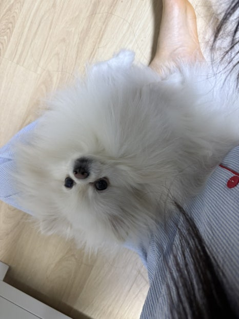두둥 이미지