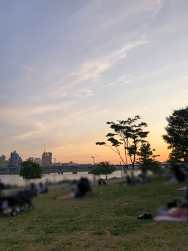 치키니즘 이미지