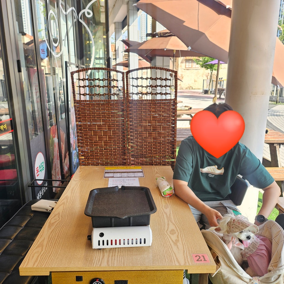 삼차전 이미지