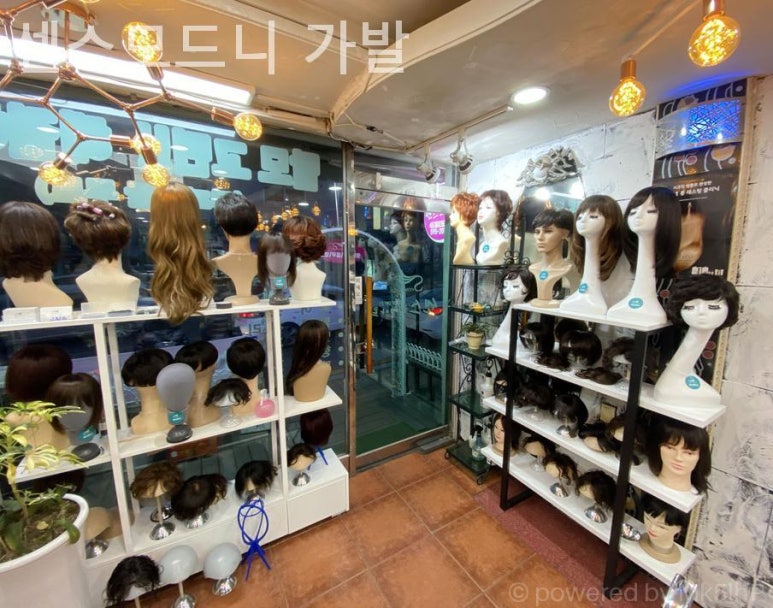 센스모드니 이미지