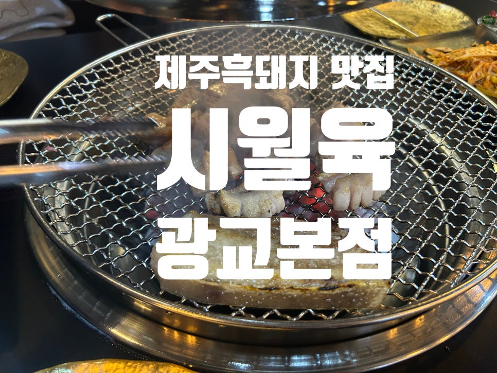 시월육 이미지