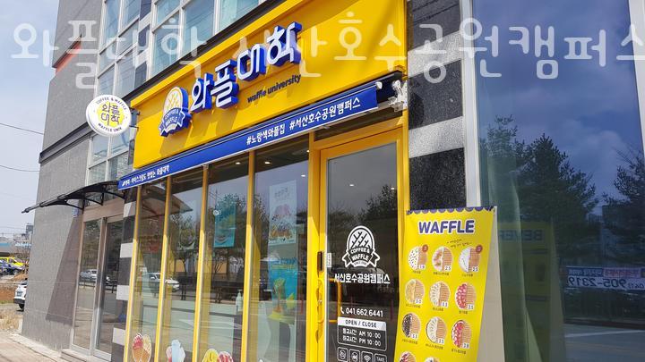 와플대학서산 이미지