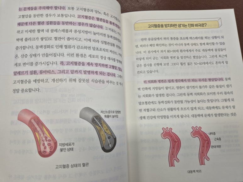비단지음 이미지