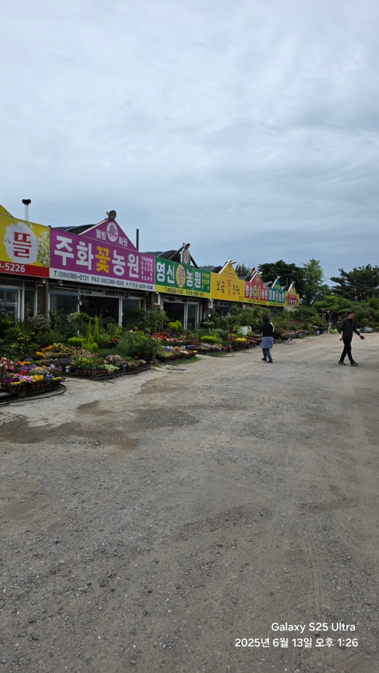 양산시농수산물종합유통센터 이미지