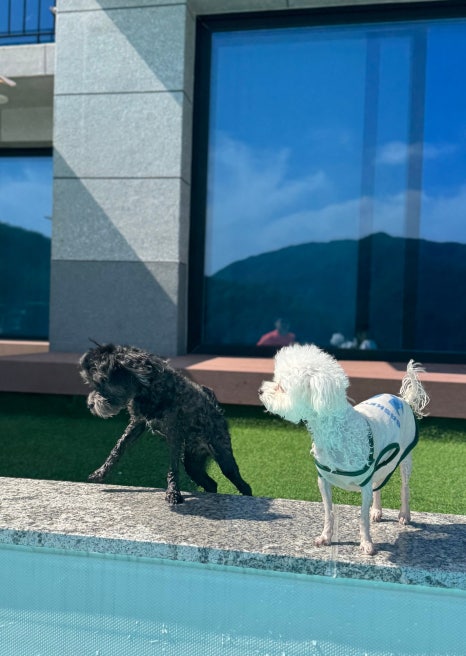스테이수목 이미지