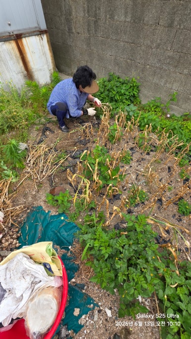 양산시농수산물종합유통센터 이미지