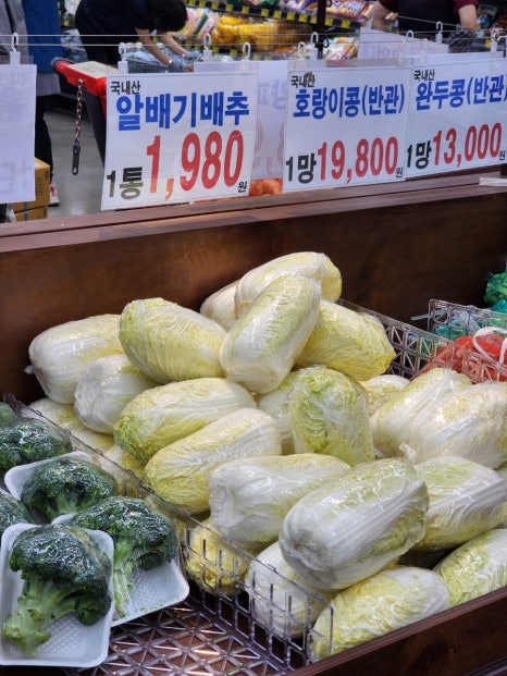 소나무마트 이미지