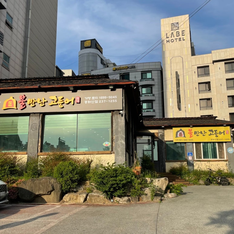 불만난고등어 이미지