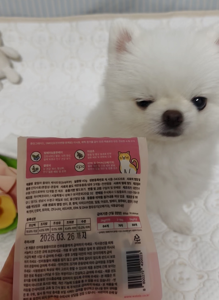 왈랄라 이미지