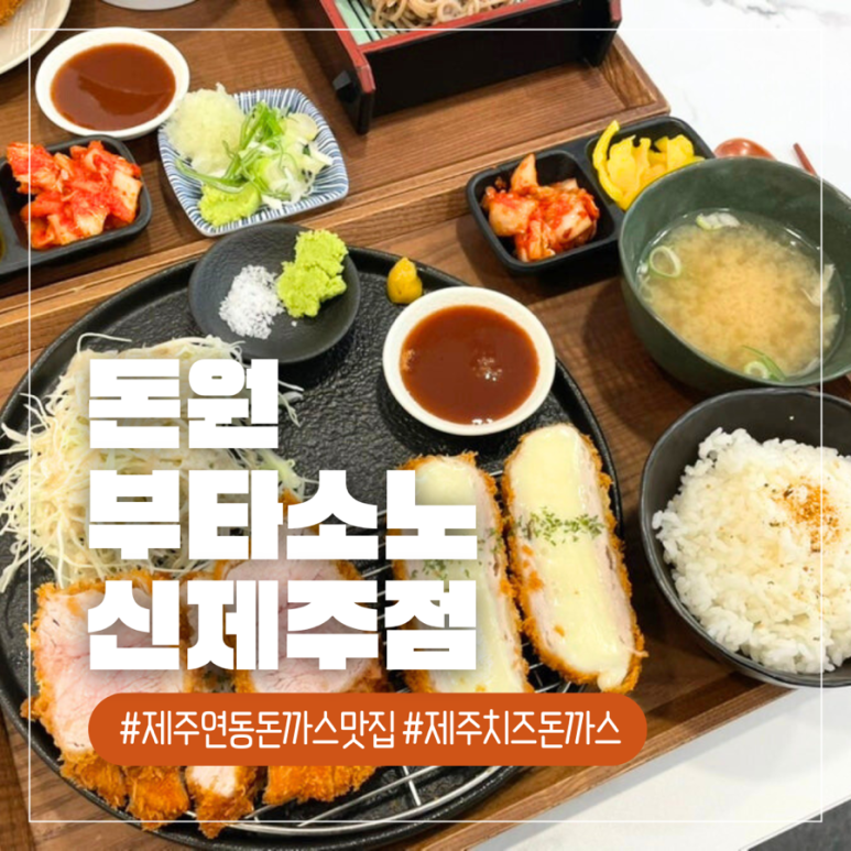 돈원부타소노신제주점 이미지