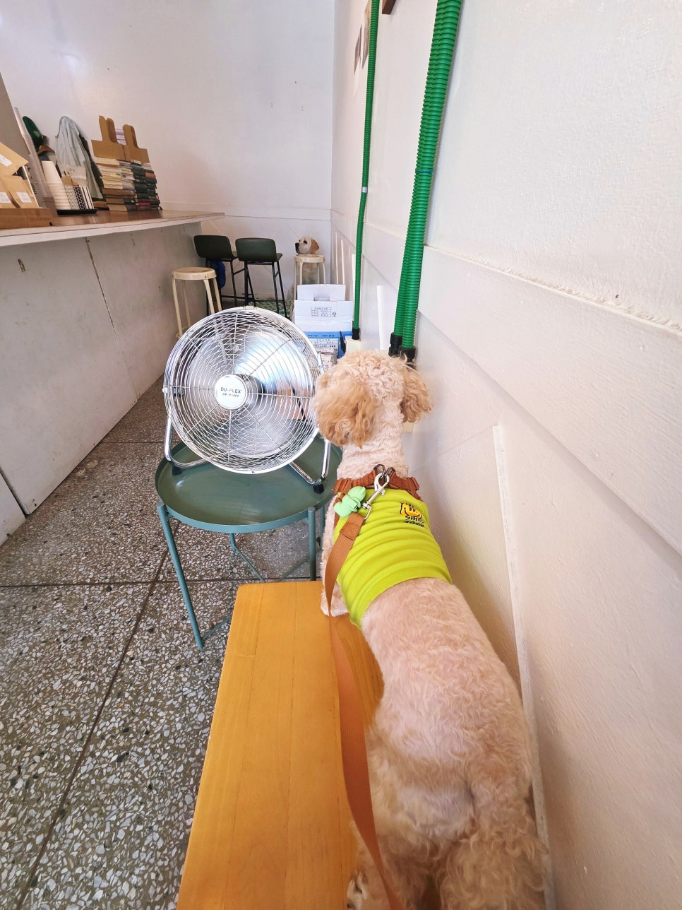 에스페란자 로스터즈 이미지
