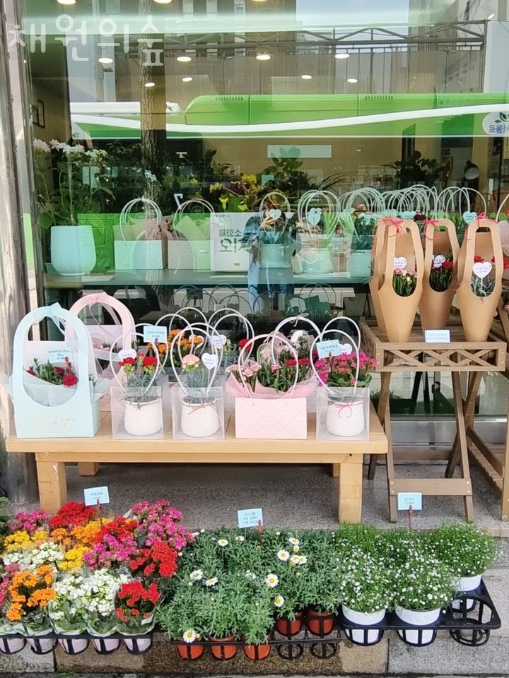 채원의숲 이미지