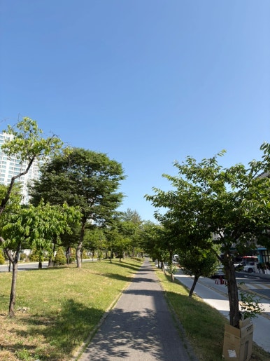 화이트리에 대전도안점 이미지