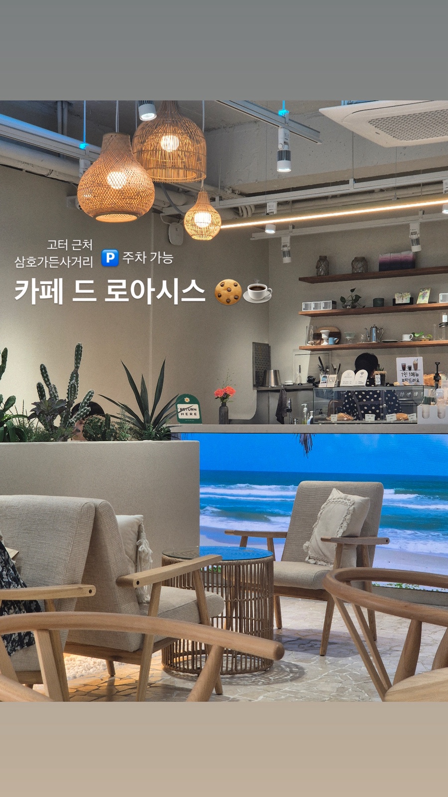 로아시스 이미지