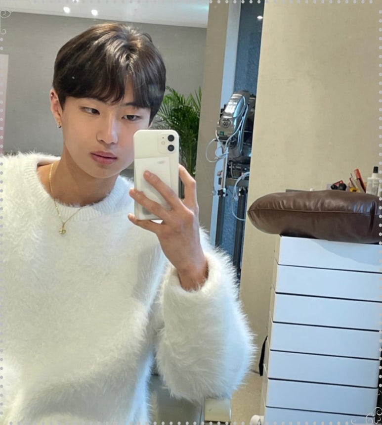 메이에르 이미지