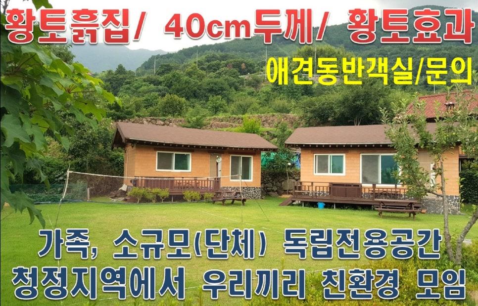 산수애 이미지