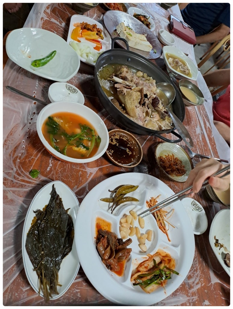 들국화민박 이미지