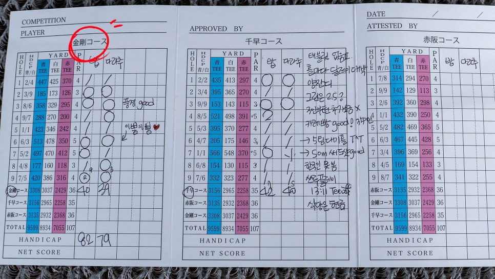 글로아 이미지
