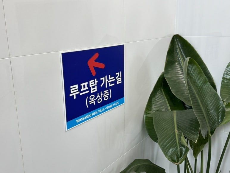 원산도샵카페 이미지