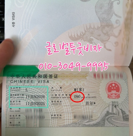 글로벌투굿비자 이미지