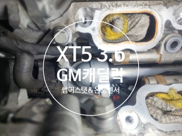 모토리카 이미지