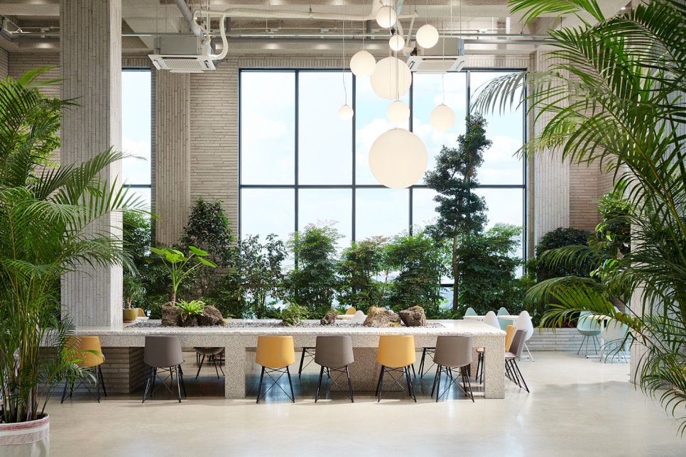 Terrace(테라스) 이미지