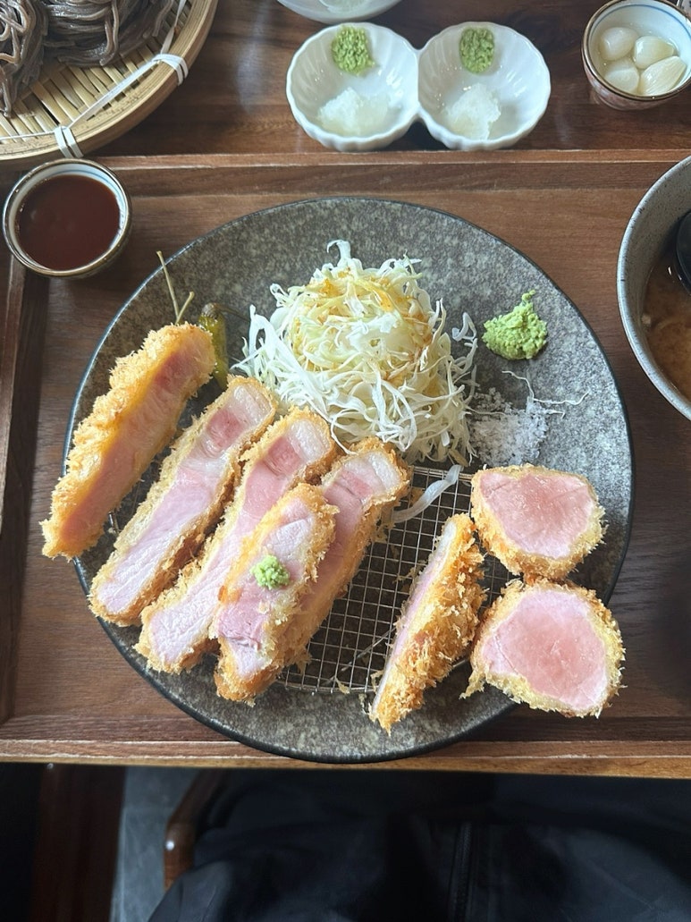 카츠닉 이미지
