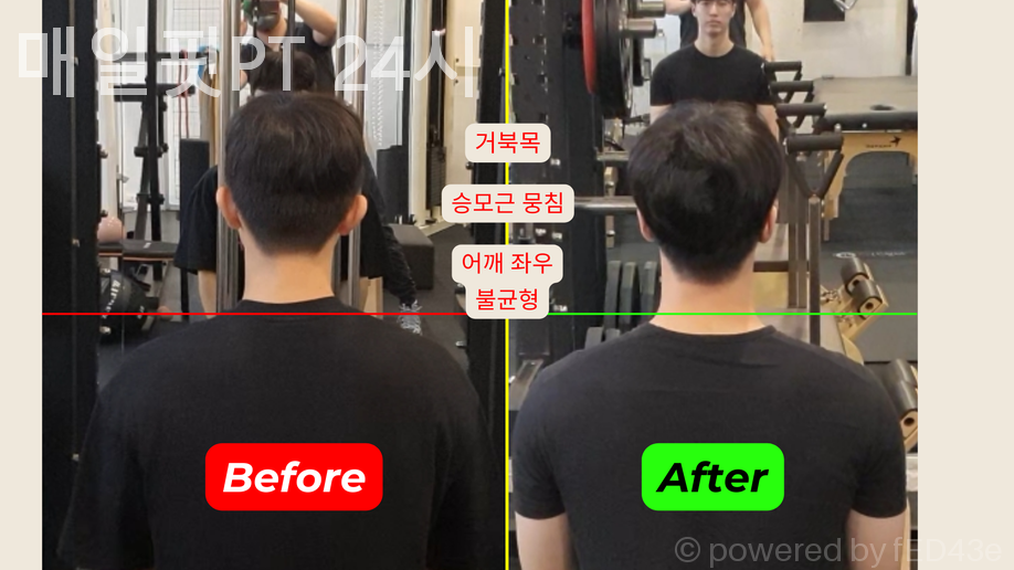 매일핏 이미지