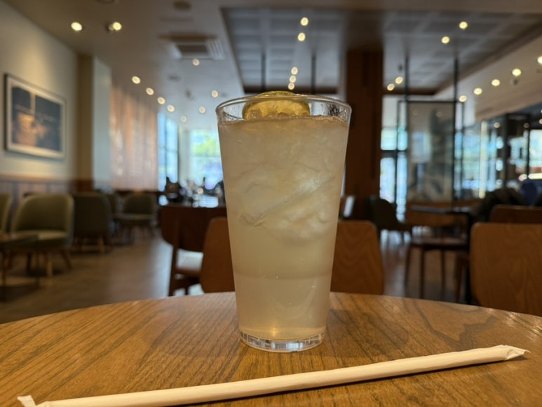피비오 이미지