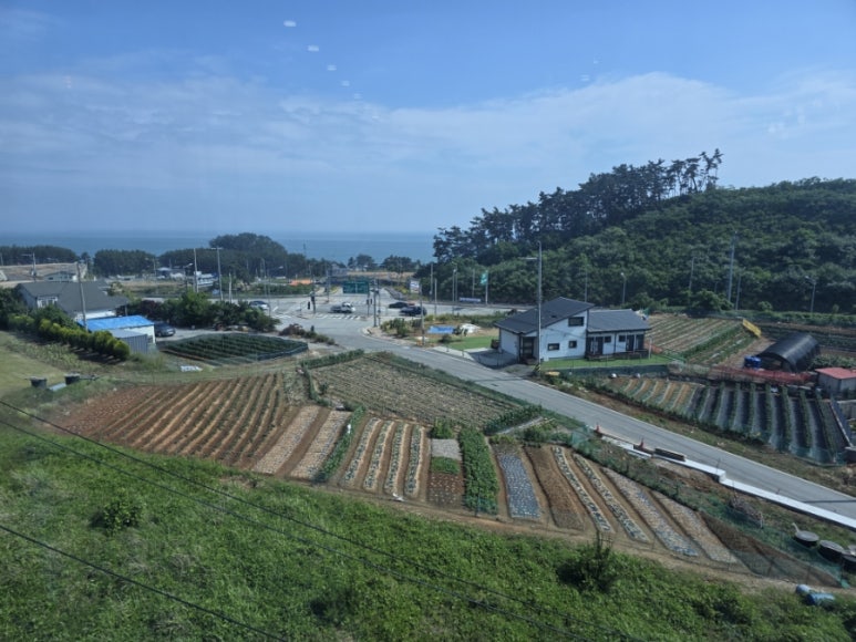 원산도샵카페 이미지