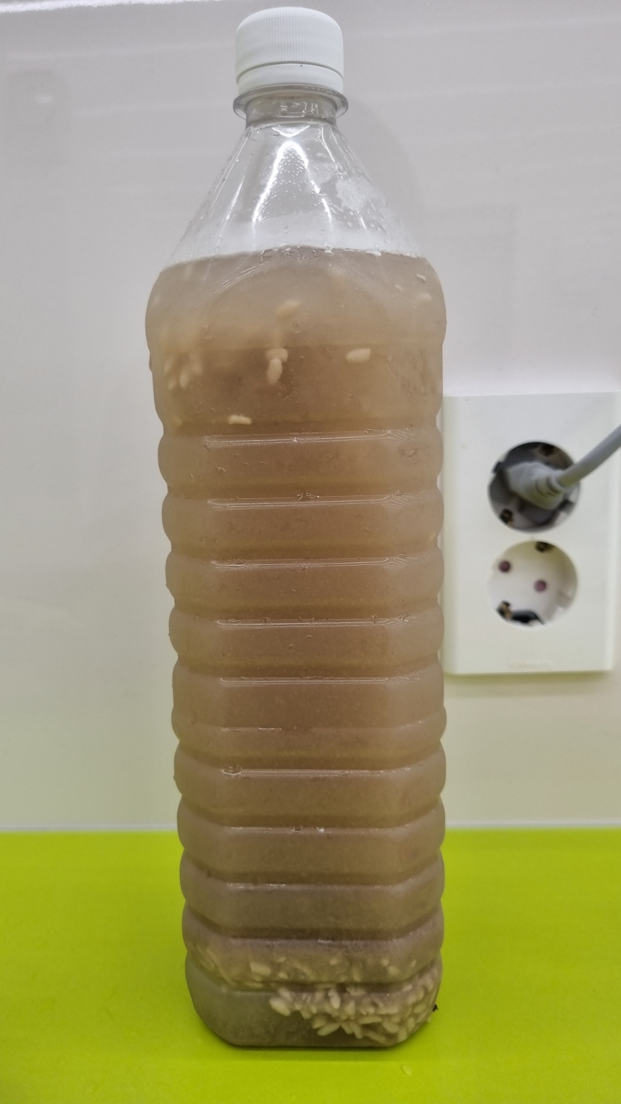 꼬꼬포차 이미지