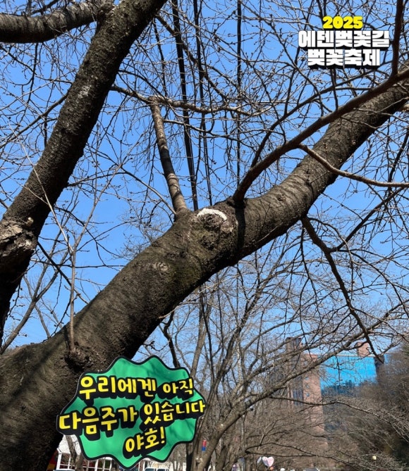 루타46 이미지