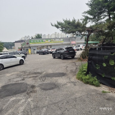 청년고기장수남양주 이미지