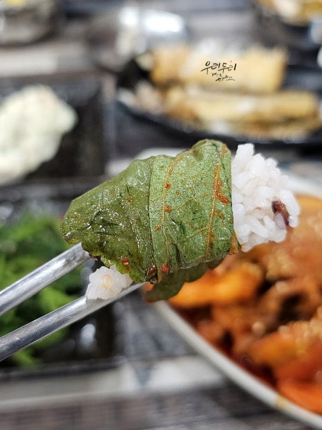 제주태원 이미지