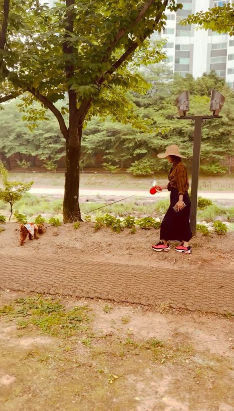 이은영 헤어 이미지