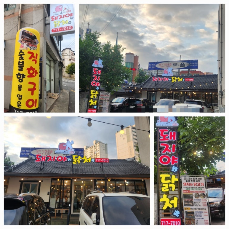돼지야&닭 이미지